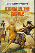 Storm in the Saddle (1996) by Matt Logan