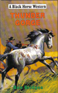 Thunder Gorge (1997) by Ben Bridges