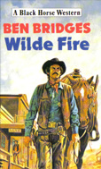 Wilde Fire (1988) by Ben Bridges
